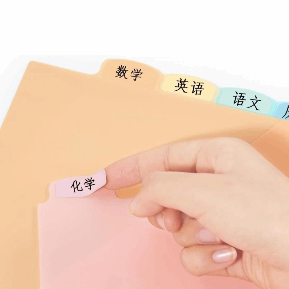 8 séparateurs de classeur A4 p - Tab Divider A4 avis et prix
